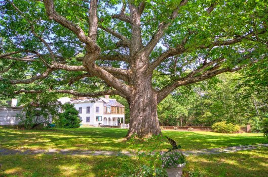 The Oaks Cornish, NH